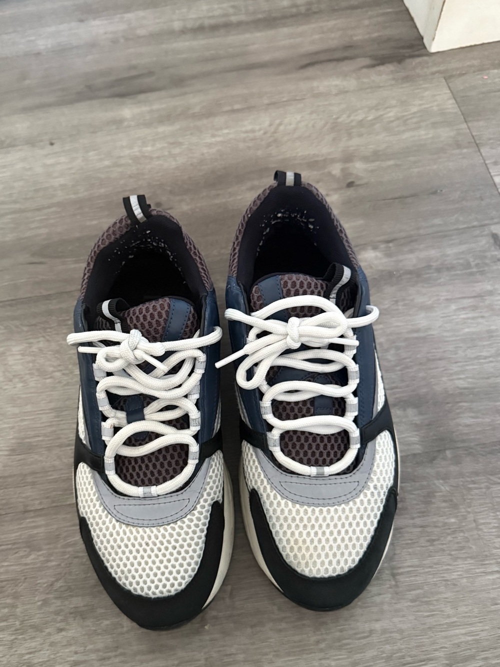 Dior B22